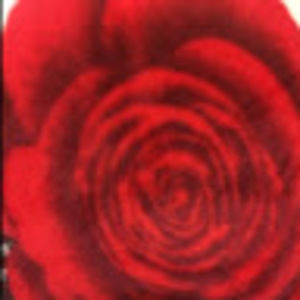 Meet your Posher, Zainab